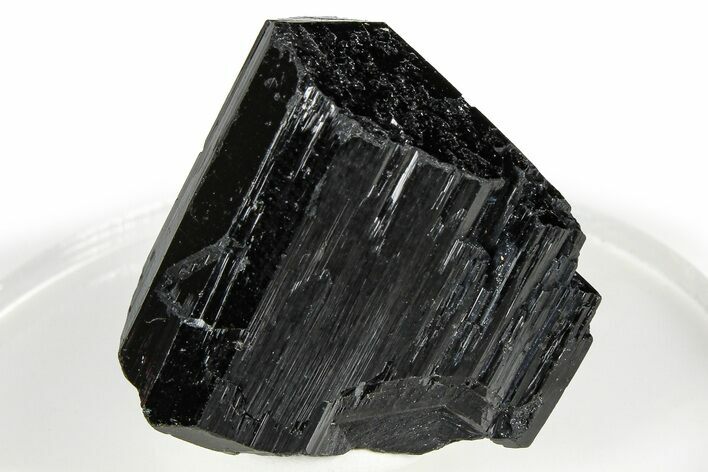 Lustrous Black Tourmaline (Schorl) Crystal - Namibia #373623